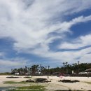 돈가맛돼지 이미지