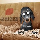 만평 이미지