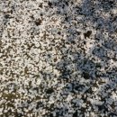 풍경쉼터 이미지