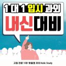 스터디홀릭수능영어 이미지