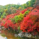 철암장터 이미지