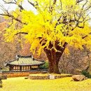 권오섭 | 丙午年(2026년) 節氣 이야기