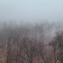 영우한의원 이미지