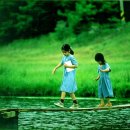 메기의 추억 이미지