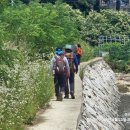 수기해변 이미지