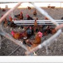 진현농장 이미지