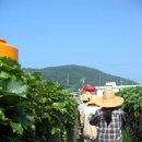 유현경로당 이미지