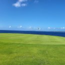 (주)인코스박스 | “여기 골프장 맞아? 바다뷰 미쳤다” 사이판 코랄오션 실후기