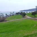 4월의밀밭 이미지