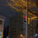 데굴데굴