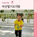 아산딸기체험 천안딸기체험, 싱싱한 딸기 따고 케이크만들기체험까지 알차게! &#34;아산딸기도치팜&#34;