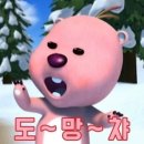 코이카 청년중기봉사단 사회(Social) 국내 오프라인 교육 후기 🇰🇷