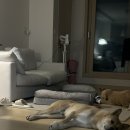 오창중앙약국 이미지