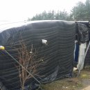 에스지테크 이미지