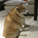 촨촨지우바