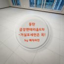 알파동탄펜테리움 - 화성시 동탄첨단산업1로 27 | 동탄 금강펜테리움6차 39평 줄눈 2차 후기 -거실포세린은 입주 전에 ‘무조건 해야 하는’ 이유