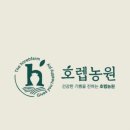 마량 5일시장 이미지