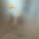 엔오에스주 | Weekly Diary. 10월 - ④(NOS7, UGG, Ged)