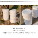 트리케어