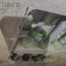 사하구 원양로 | 부산누수탐지 고객 후기 모음: 신뢰와 만족을 함께하는 누수탐지 경험