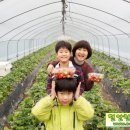 정현목장 이미지