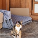 아지야 놀자 이미지