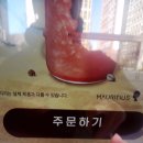 모리셔스브라운영종점 이미지