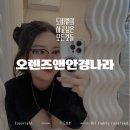 오렌즈앤안경나라관저점 | 관저동안경 잘하는집, 오렌즈앤안경나라 관저점