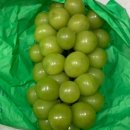 강덕농장 네이버블로그