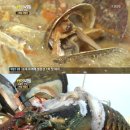 민영식당