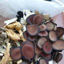 코앤아이시민한의원 이미지