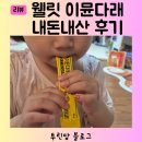 웰릿 이뮨다래 환절기 알레르기 비염 내돈내산 후기 부작용