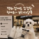 더펫 | 백화점 입점 프리미엄 고급 강아지샴푸 보다더펫샴푸 솔직후기