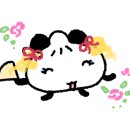 민호카 이미지