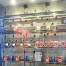 삼환미포씨랜드 이미지