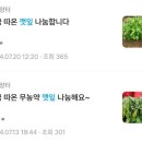 멱절길35번길 | [현실팥팥 8화] 수마가 할퀴고 간 자리 그럼에도 열매는 다시 열린다