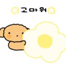 부산복국고래고기 이미지