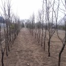 용진농장 이미지