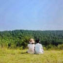 헬로우제주여행사 | 2인 숙박 및 비행기표, 48시간 렌트)경품 이벤트 후기, 헬로우팡여행사, 엄마랑 제주 모녀여행 다녀오다:)