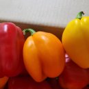 명문농장 이미지