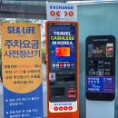 해마로 | 부산 아쿠아리움 해운대 씨라이프 티켓 할인 예약 팁 관람 후기