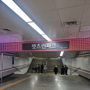 포니랜드 | 경기 과천 벚꽃 나들이 명소 렛츠런파크 서울 솔직 방문 후기 (+포니랜드)