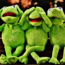 하루 (HAROO) 이미지