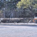 율하광장 반계공원 이미지