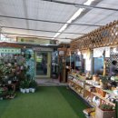 휴거리농장 이미지