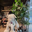 한길학교 | 양주 옥정 뜨개카페가 있다는 거 아셨나요? 베어그라운드 방문 후기