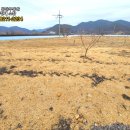 토지식당 이미지