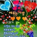 햇살좋은 이미지