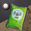 송학 이미지