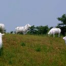 (주)가나안건설 이미지